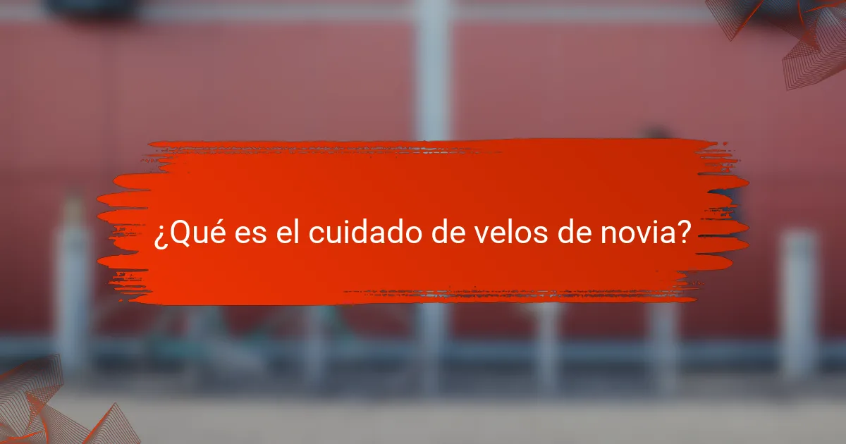 ¿Qué es el cuidado de velos de novia?