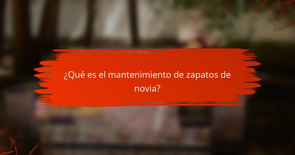 ¿Qué es el mantenimiento de zapatos de novia?