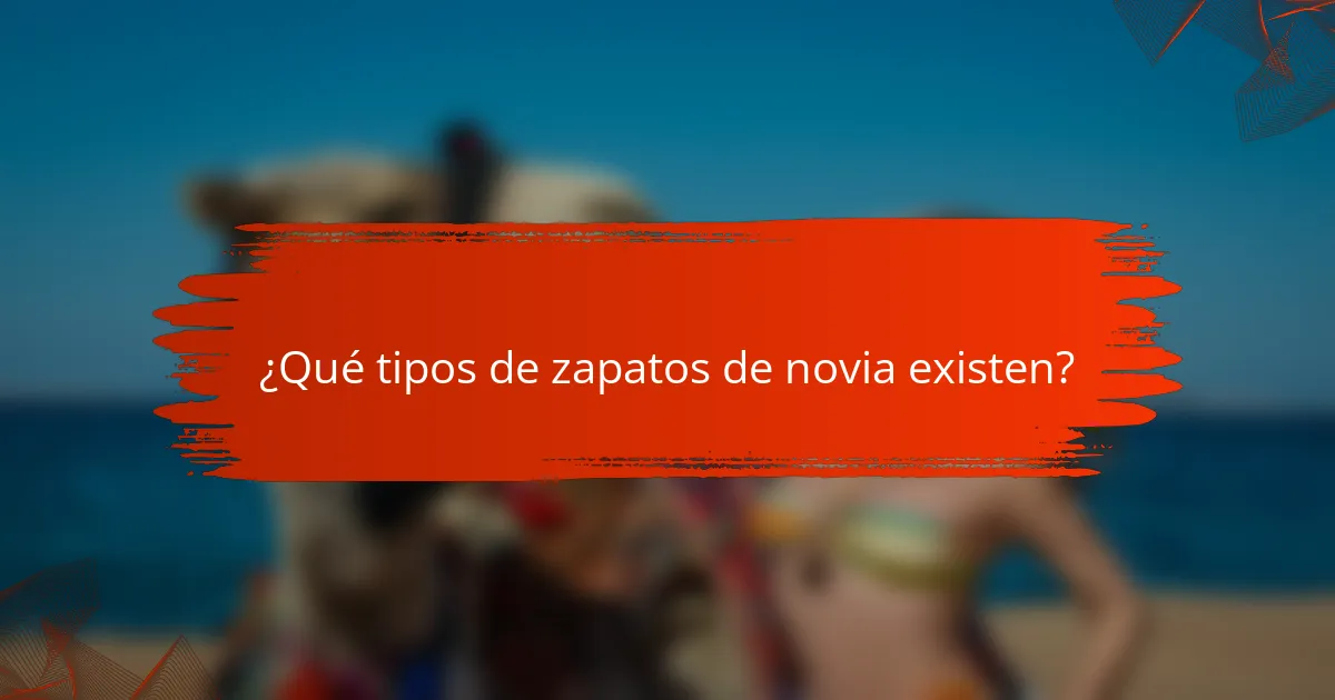 ¿Qué tipos de zapatos de novia existen?